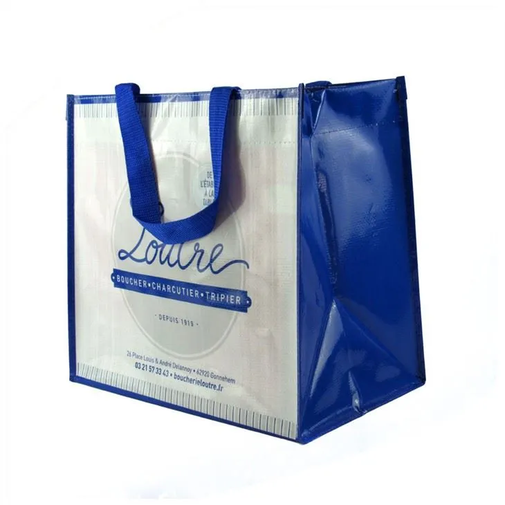 Ny Fancy Pp Woven Shopping Bag